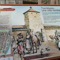 27/02/2023 - Trail Terre de Feu 